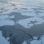 Sea Ice