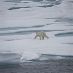 Chukchi Beaufort