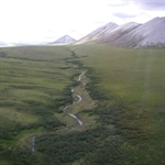 Terrestrial Ecosystems